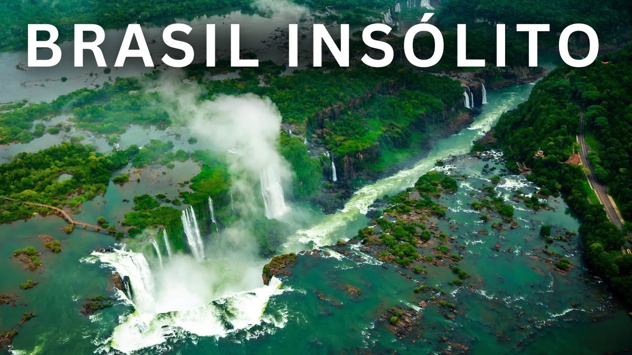brasil flora fauna y clima