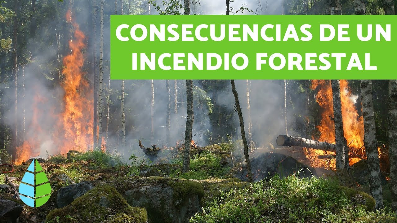 causas que originan un incendio