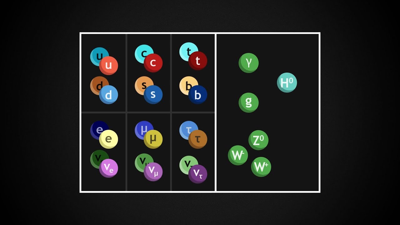 clasificacion de las particulas elementales
