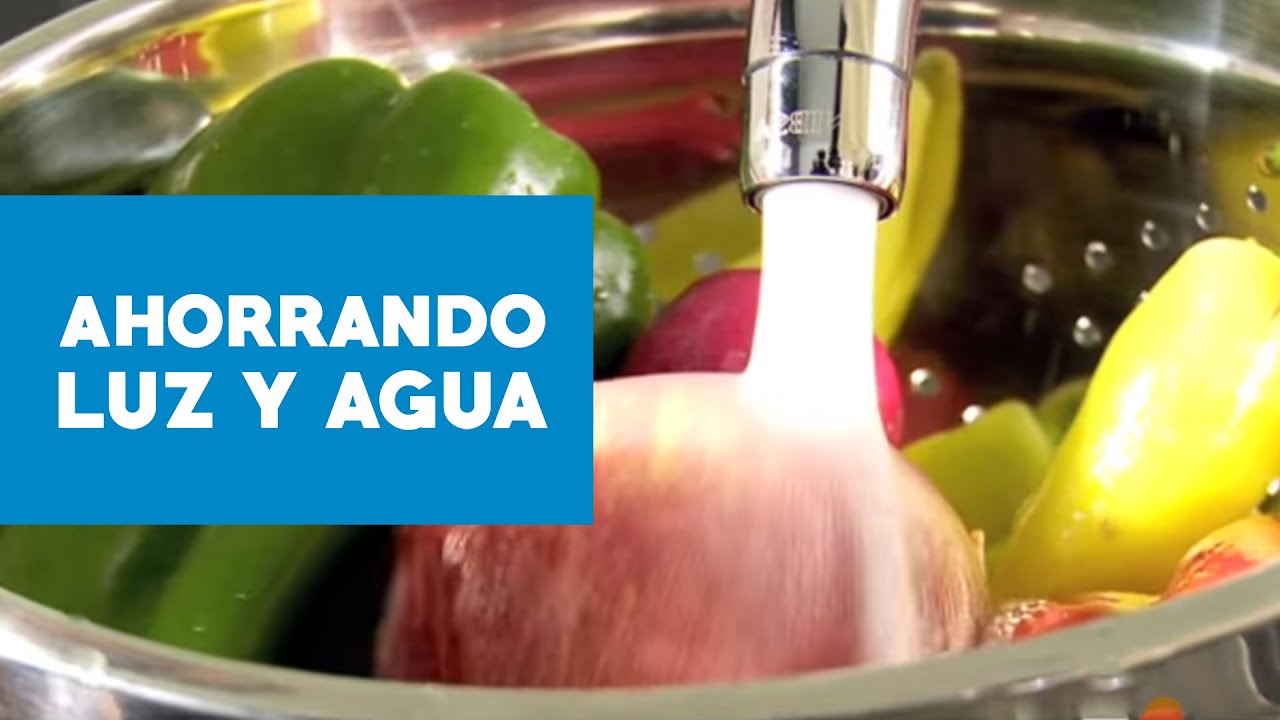 cómo ahorrar agua y energía
