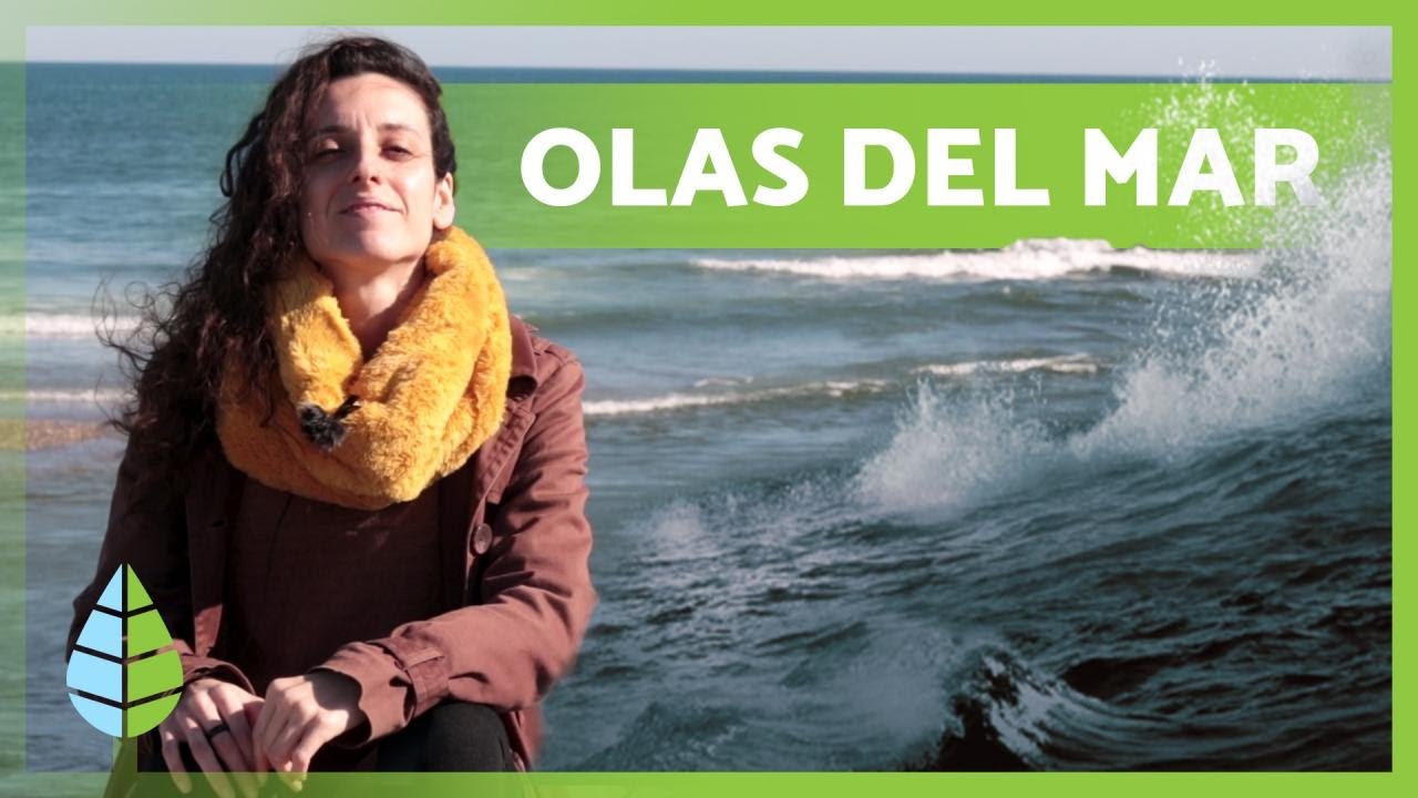 como se forma el oleaje