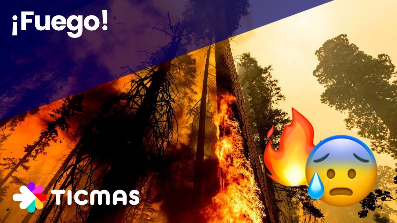 como se produce el incendio