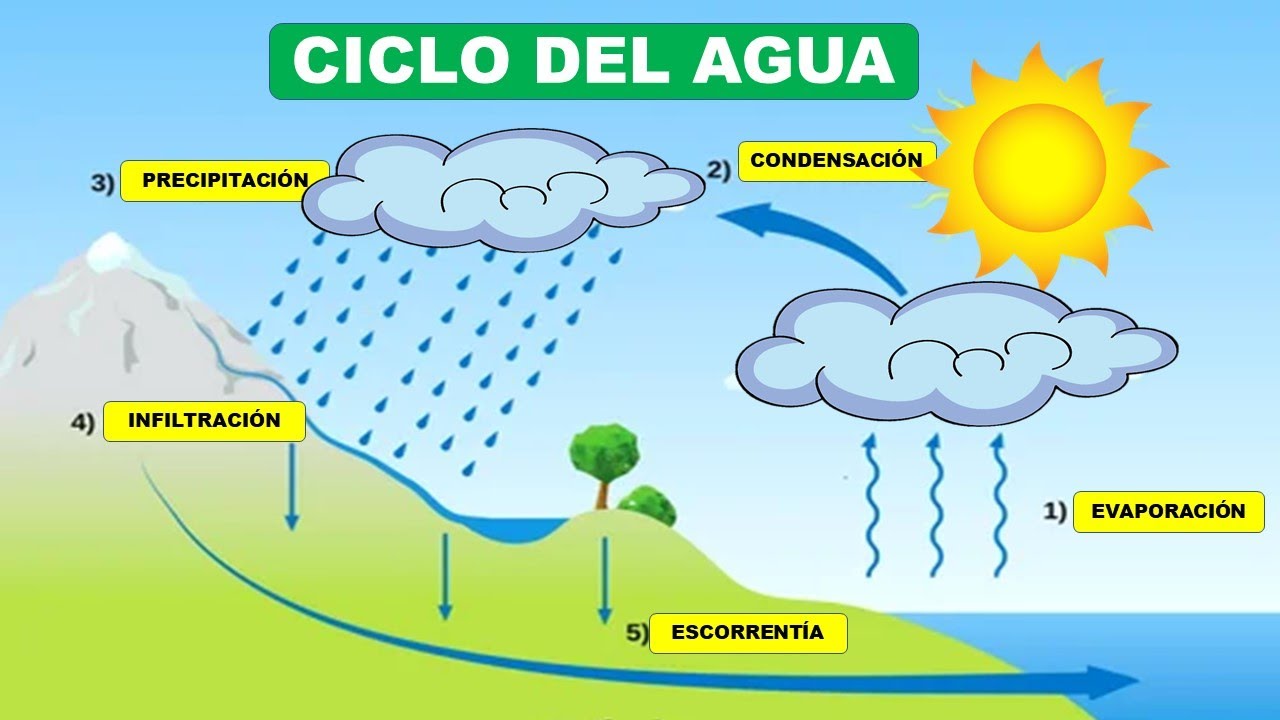 conclusion del ciclo hidrologico del agua