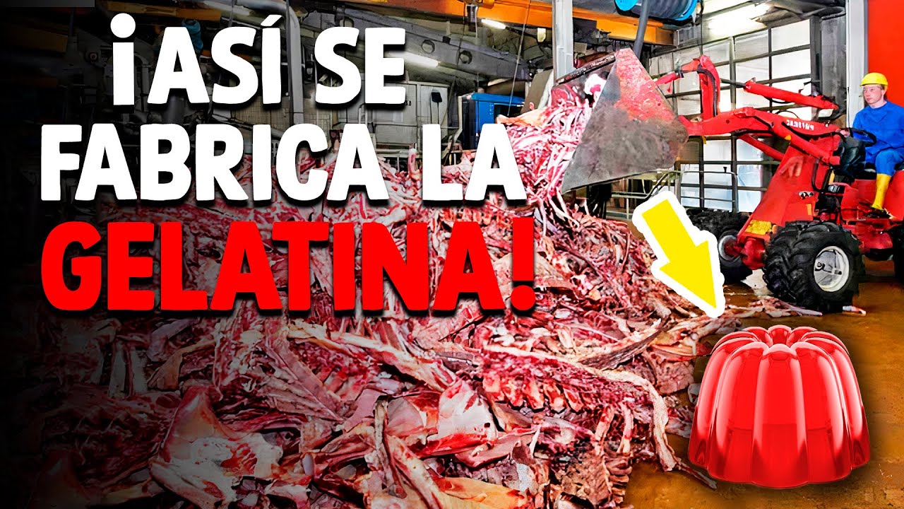 de qué están hechos los tubos de gelatina