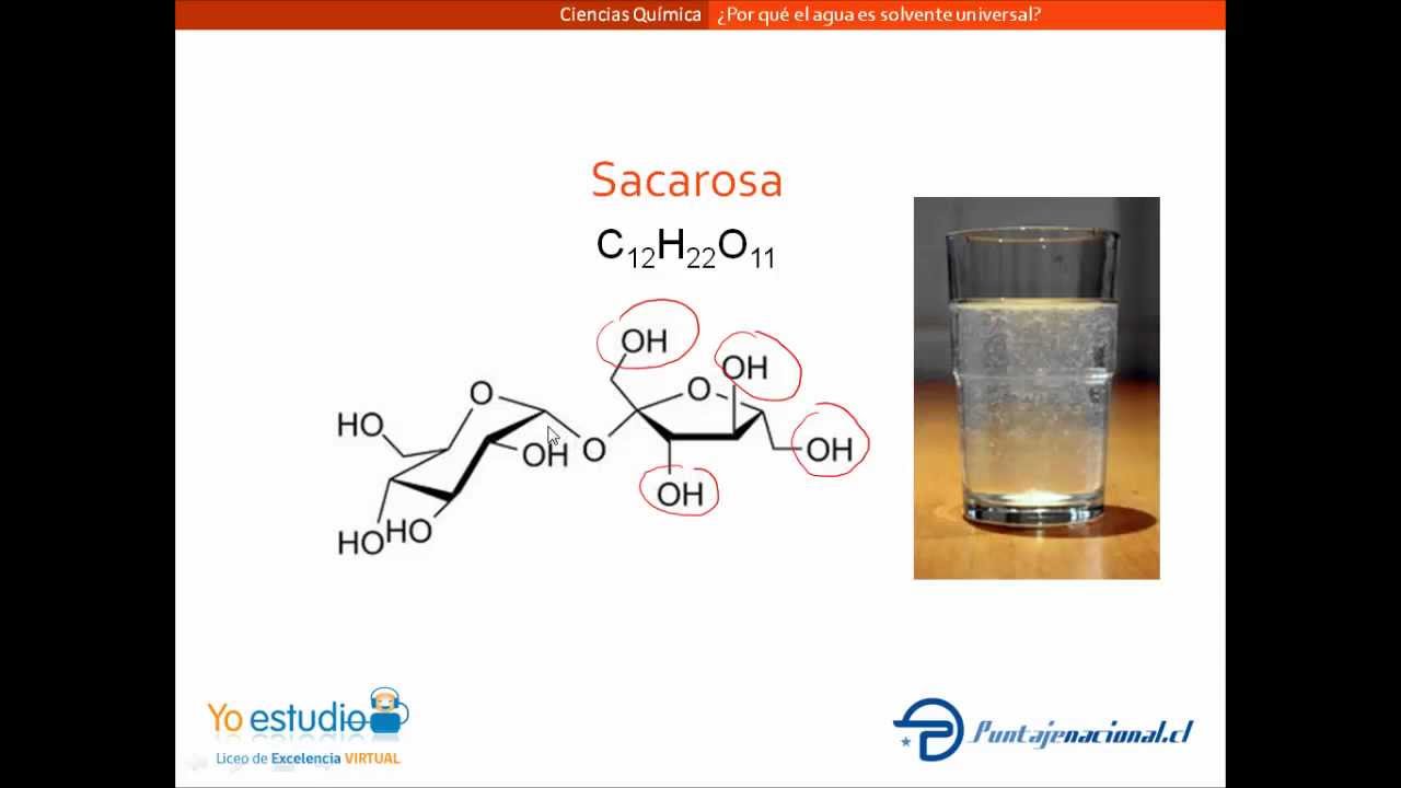importancia del agua como solvente universal