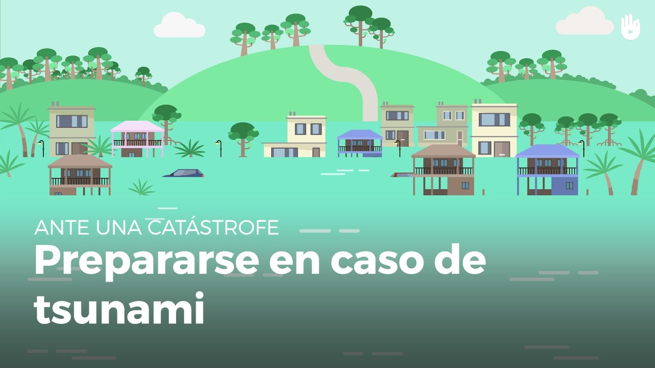 medidas de seguridad en un tsunami