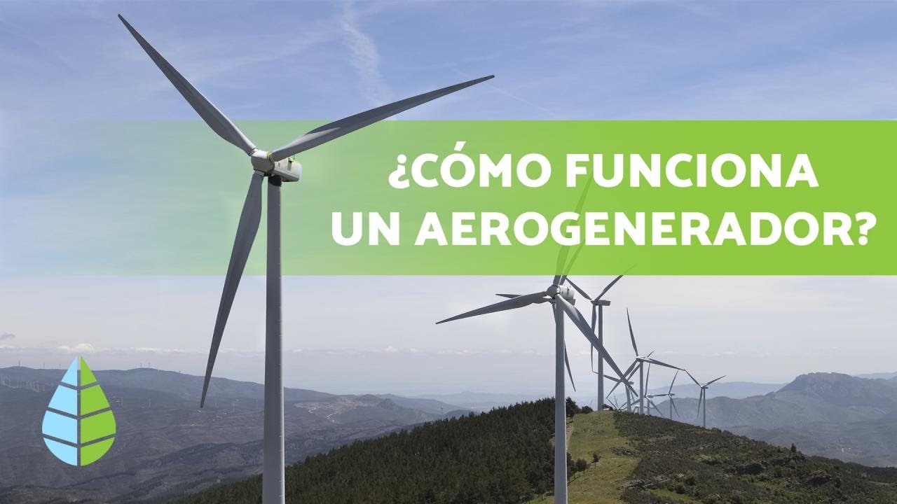 partes de un parque eolico