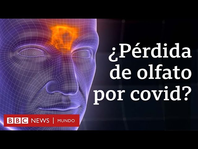 perdida de gusto y olfato resfriado