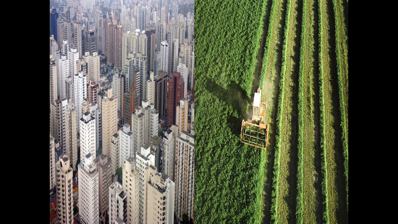 proceso de urbanizacion en mexico y el mundo