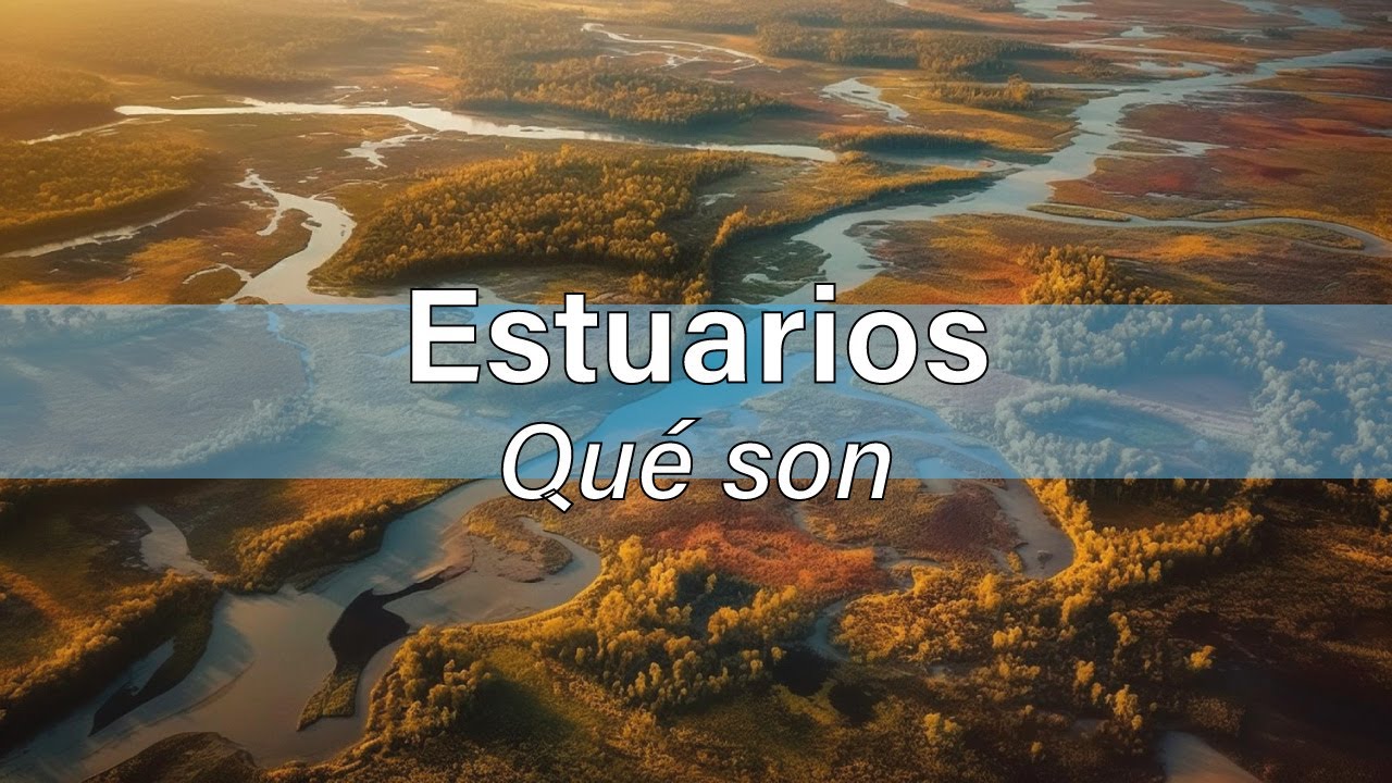 que animales hay en los estuarios