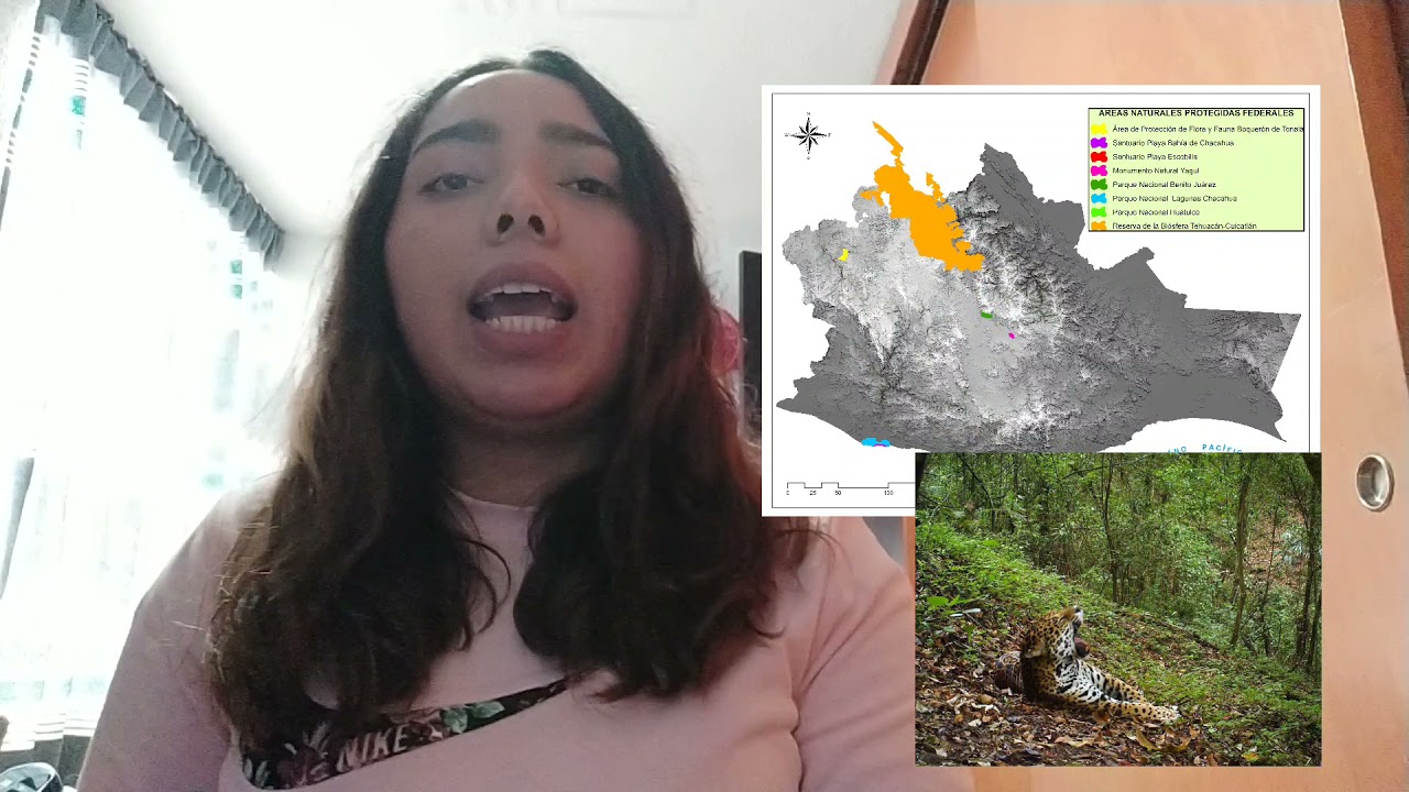 que son las areas naturales protegidas de oaxaca