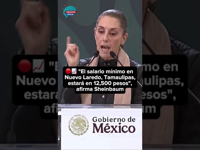 relieve de nuevo laredo tamaulipas