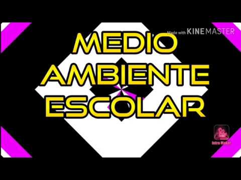 soluciones para el problema de la basura en las escuelas