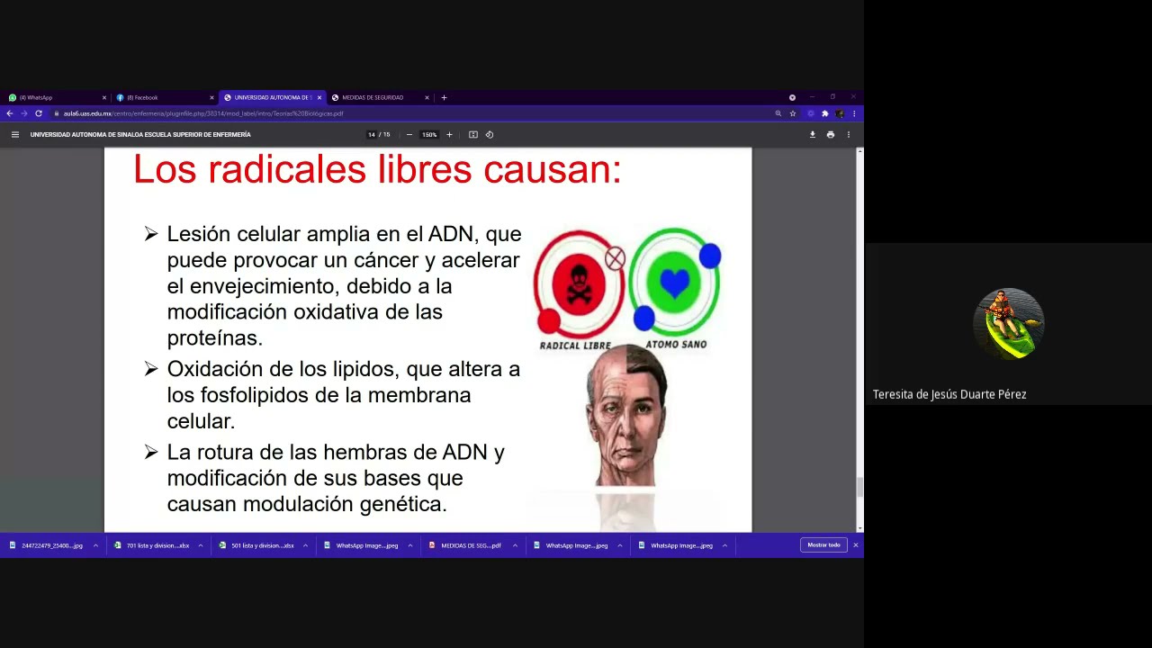 teoría de la acumulación de productos de desecho