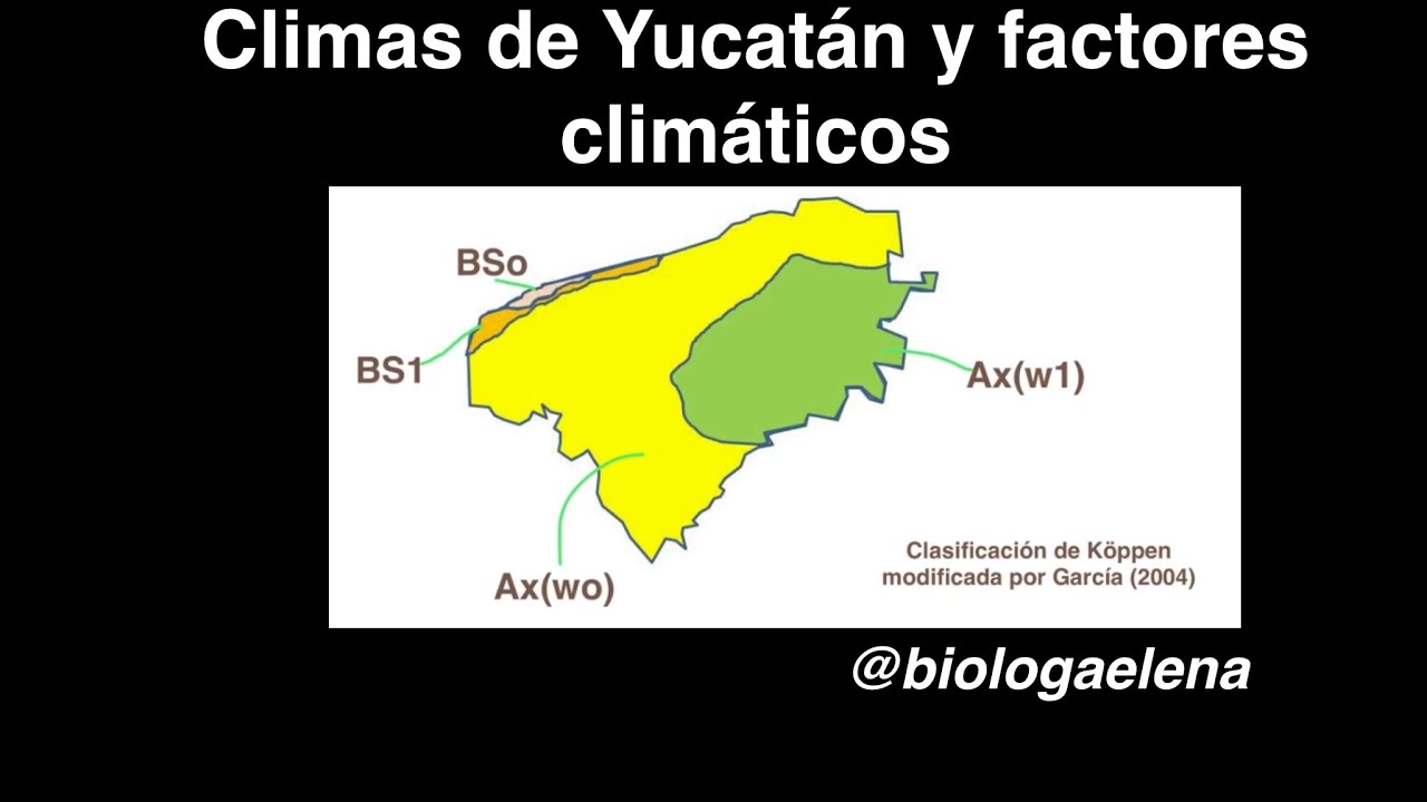 tipos de climas de yucatan