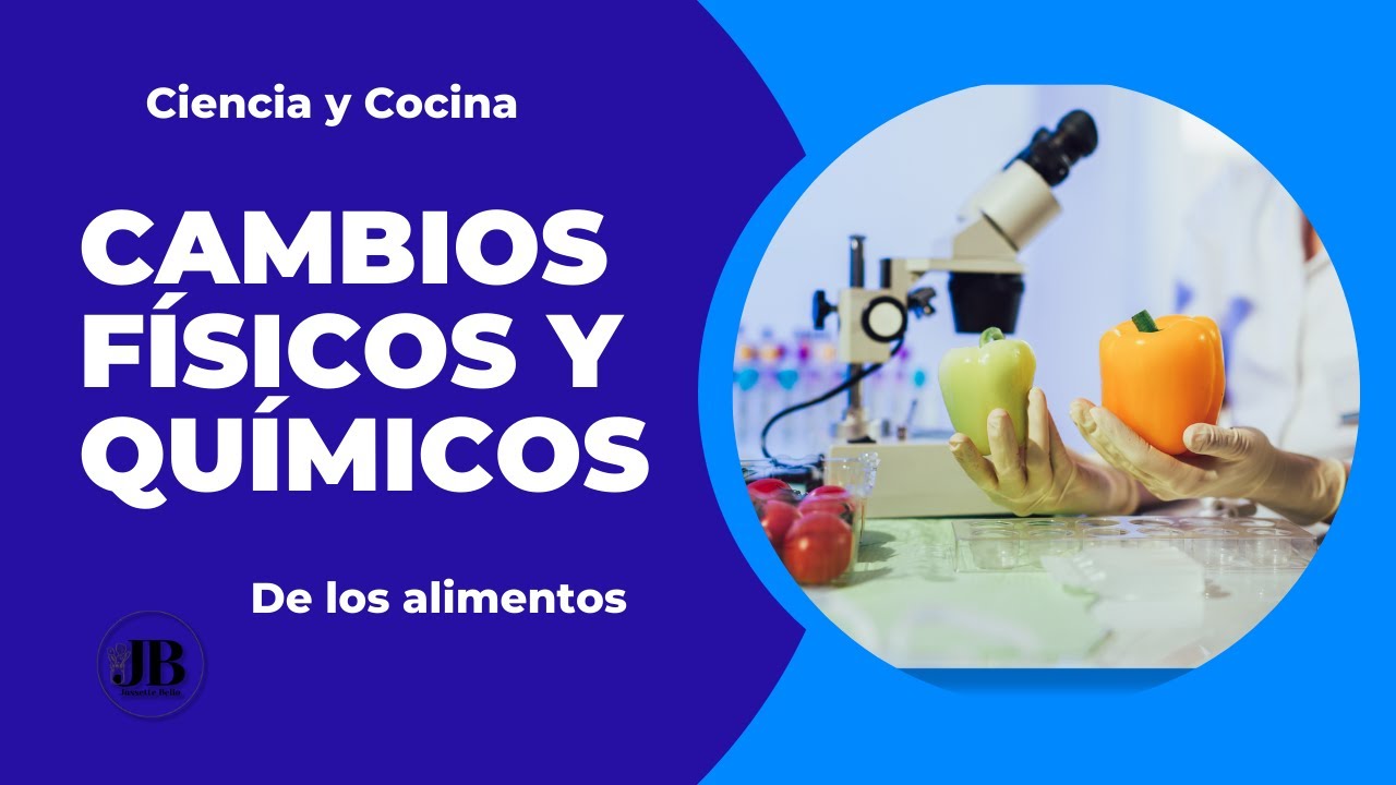 transformacion fisica y quimica de los alimentos