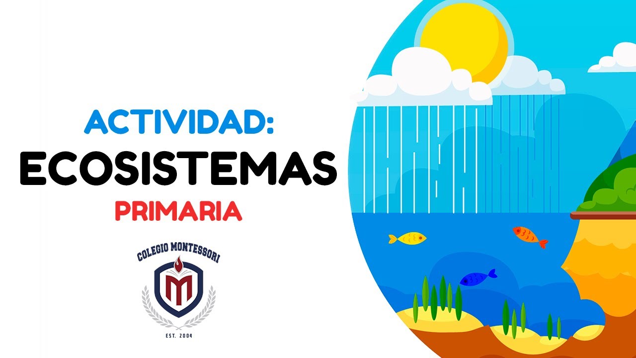 actividades sobre los ecosistemas para niños