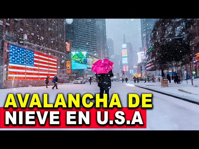 avalancha de nieve en estados unidos