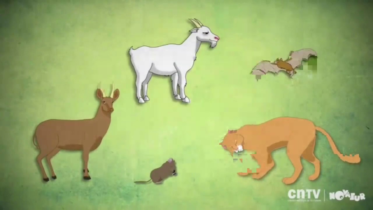 caracteristicas comunes entre plantas y animales