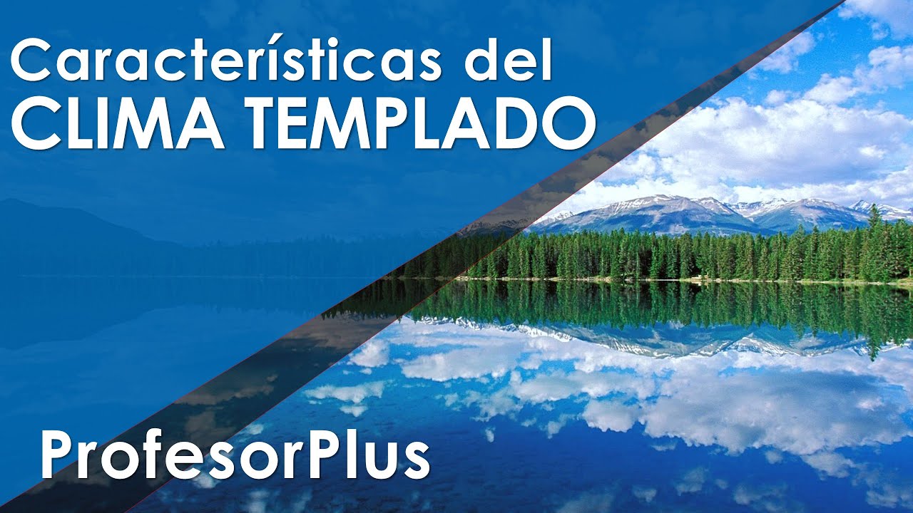 clima templado humedo flora y fauna