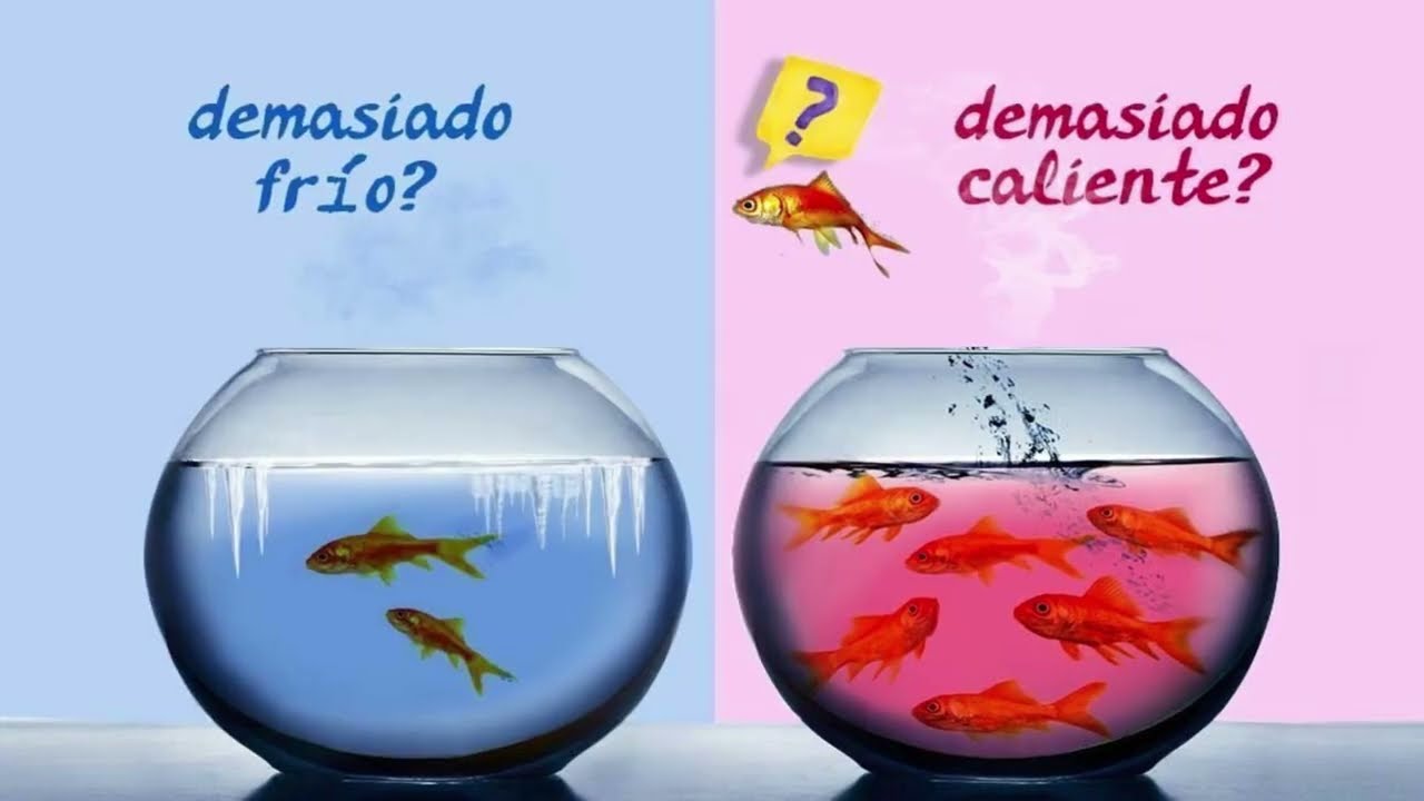 como regulan su temperatura los peces