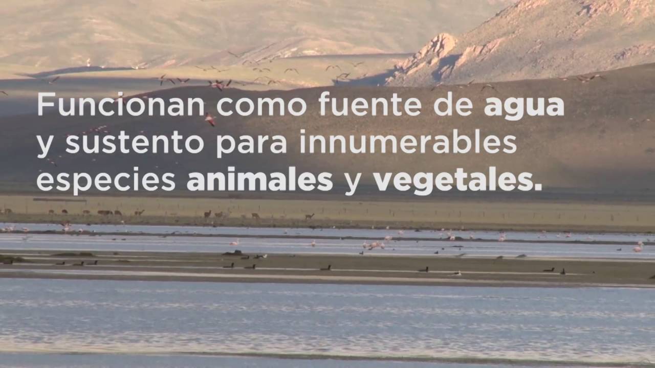 dónde se encuentran los humedales en argentina