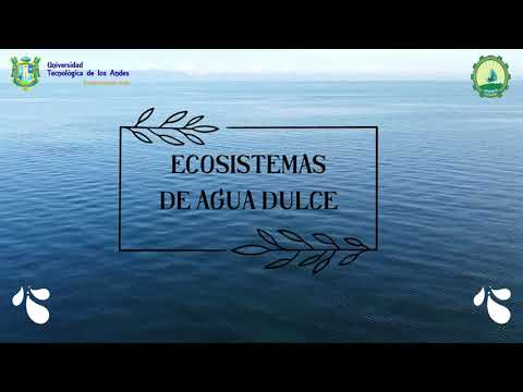 ecosistemas de agua dulce del noreste de mexico