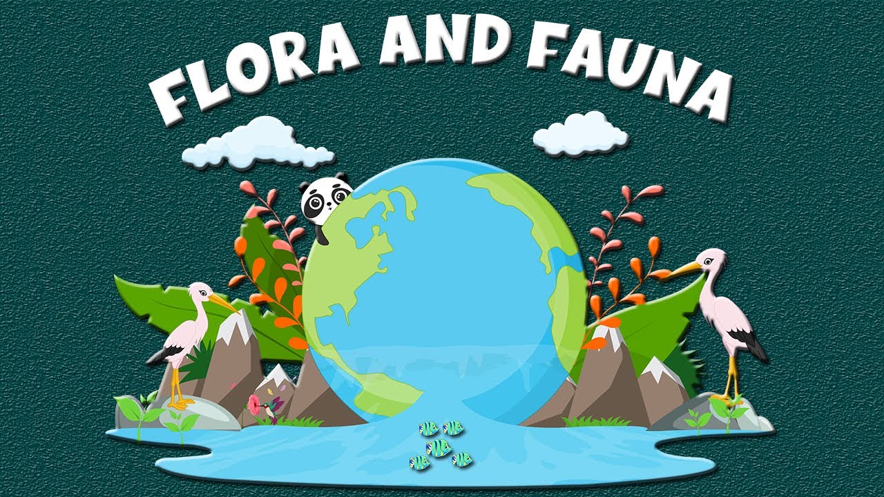 flora y fauna de frio