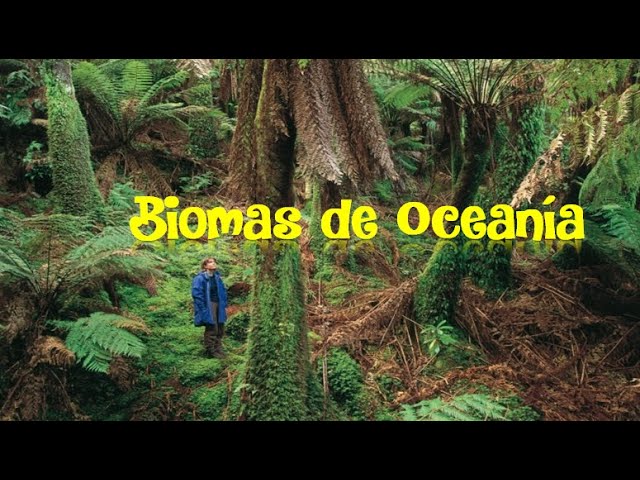 flora y fauna de micronesia