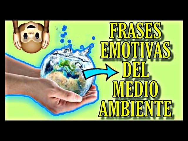 frases para el medio ambiente