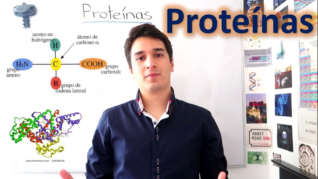 las 7 funciones de las proteínas