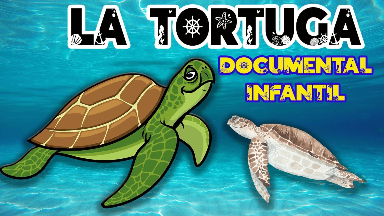 para que sirven las tortugas marinas