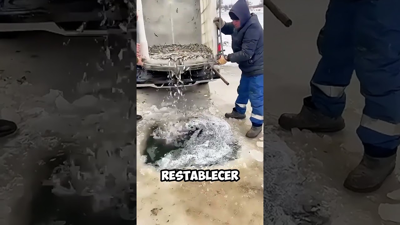 peces que viven en lagos