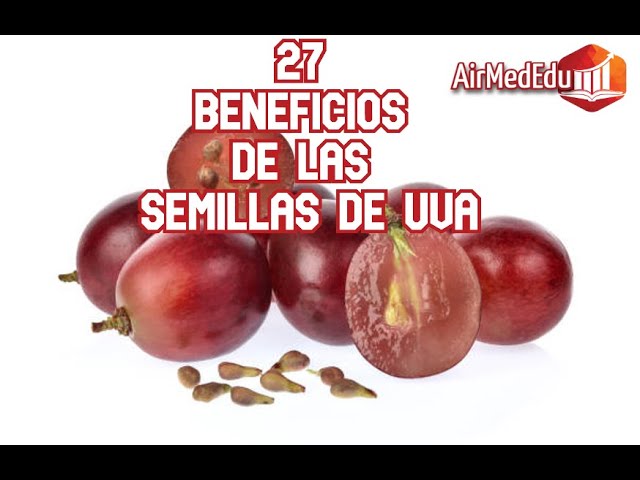 propiedades de las semillas de la uva