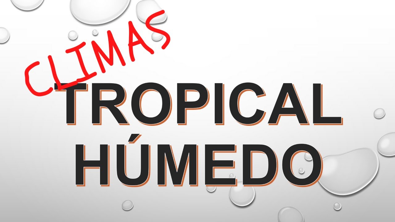 que es el clima tropical humedo