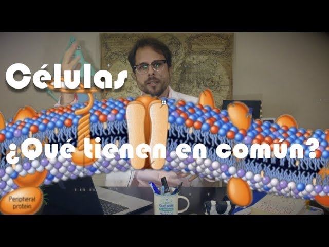que tienen en comun todas las celulas