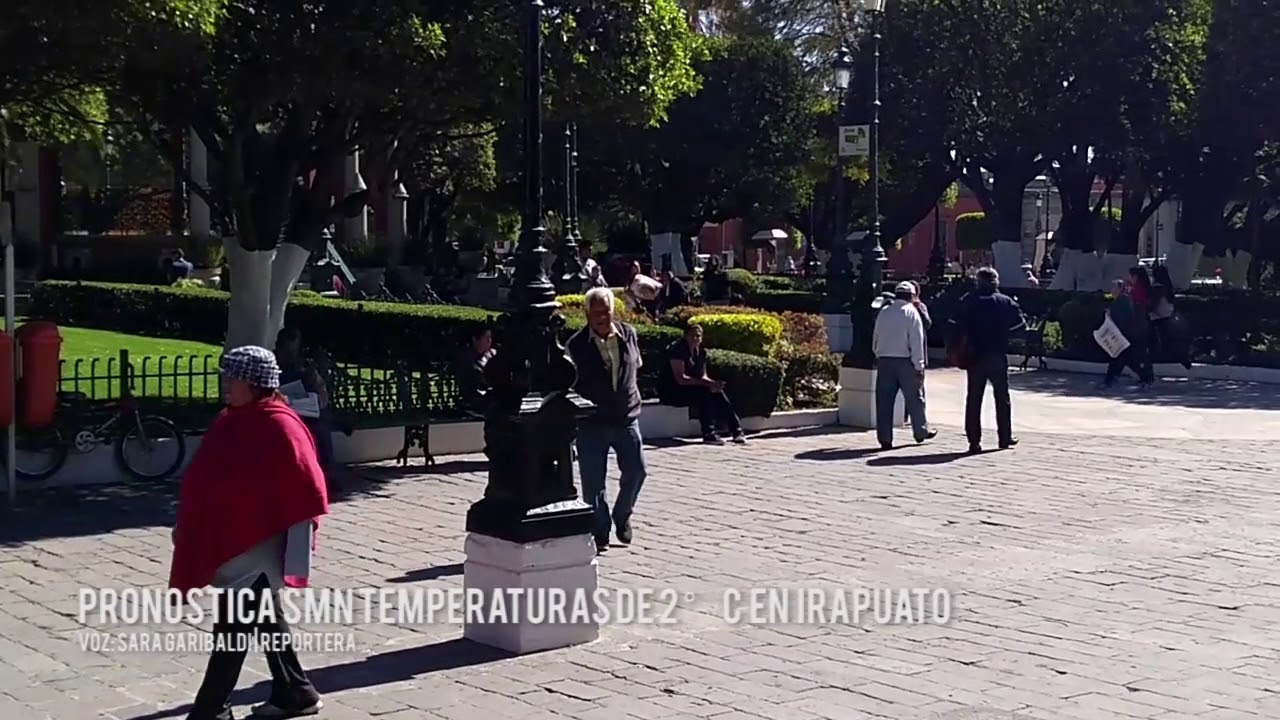 que tipo de clima tiene irapuato