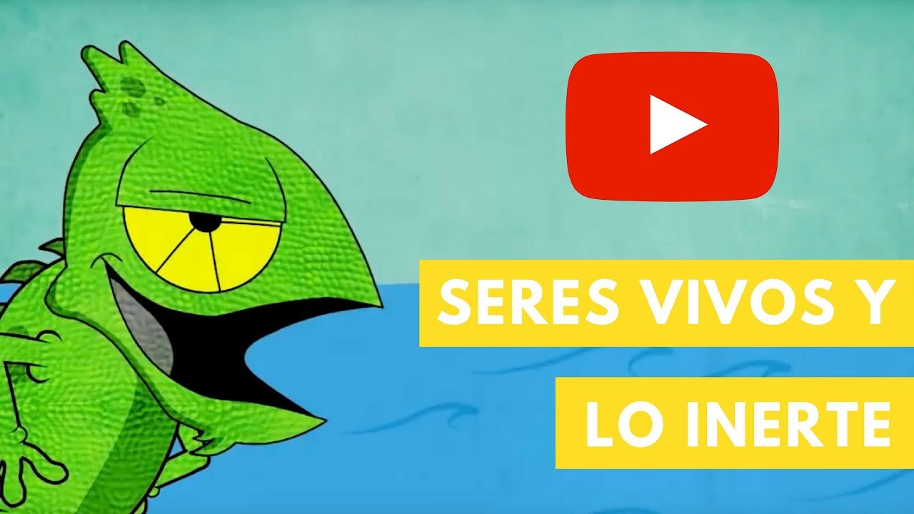 seres vivos y elementos sin vida para niños