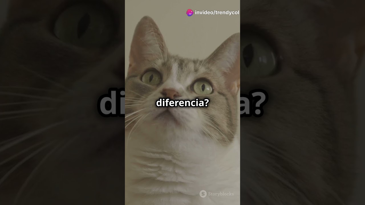 cuántos huesos tiene un gato