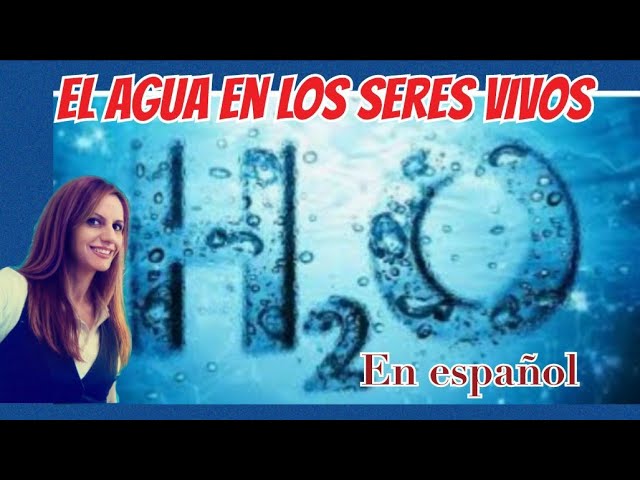 el agua es un ser vivo