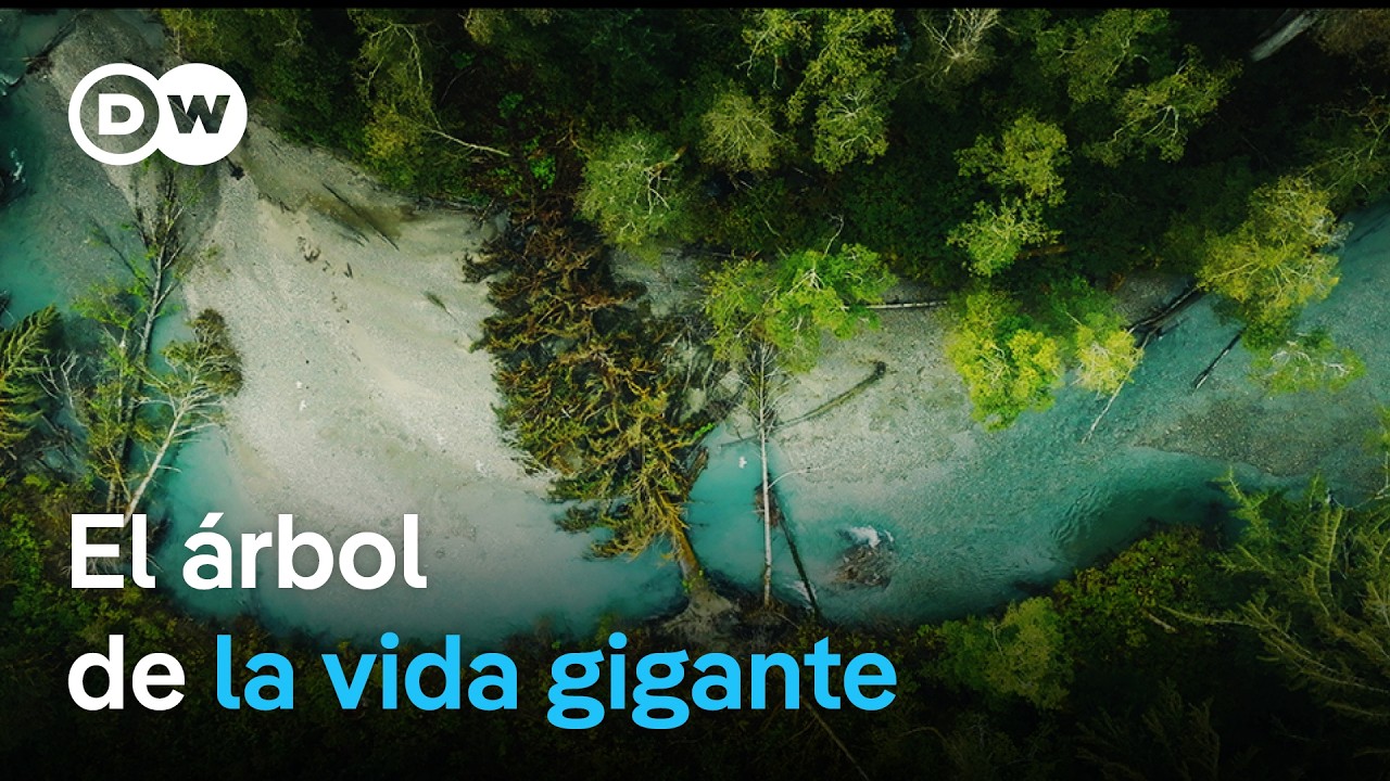 el gran lago del oso