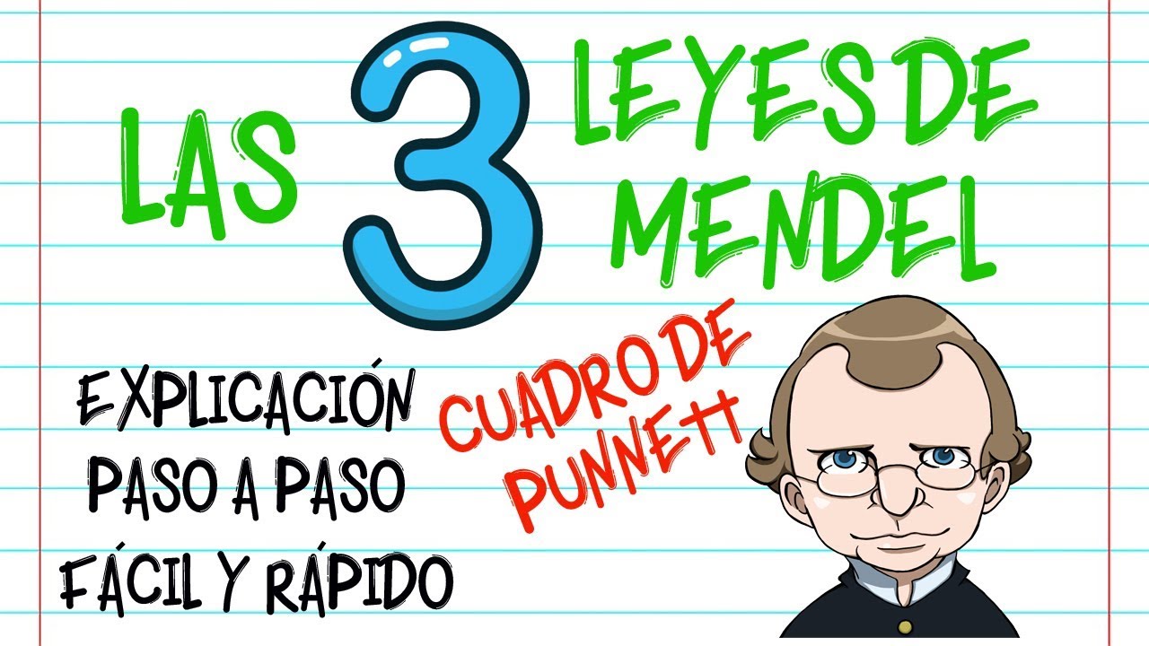 las leyes de mendel resumidas