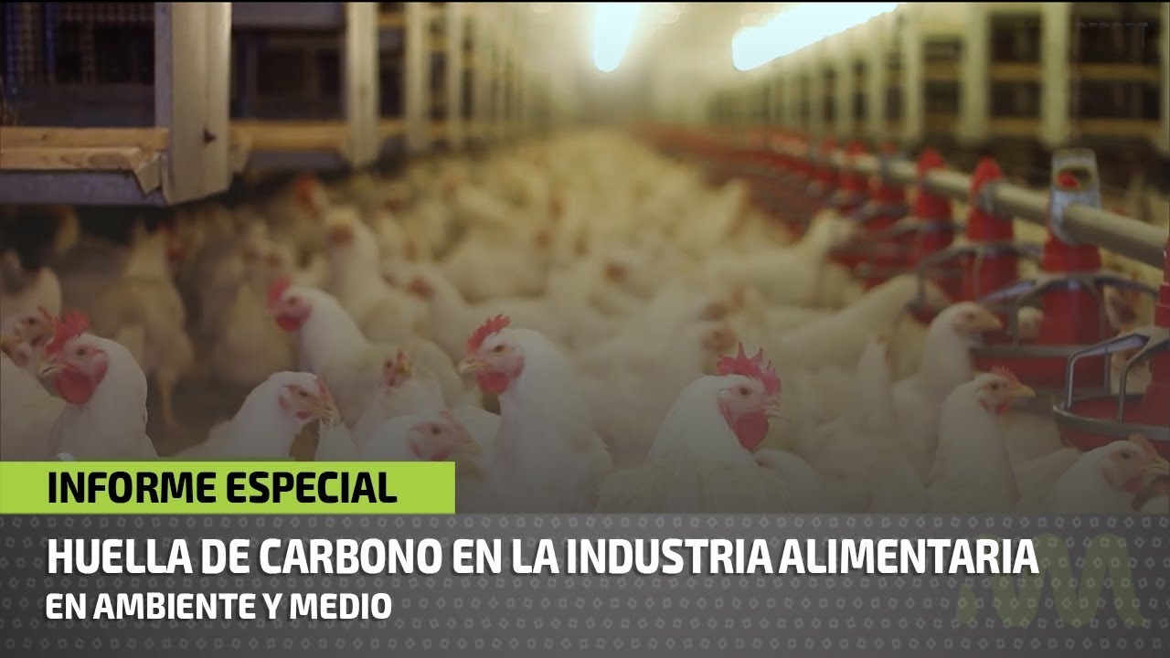 alimentos con mayor huella de carbono