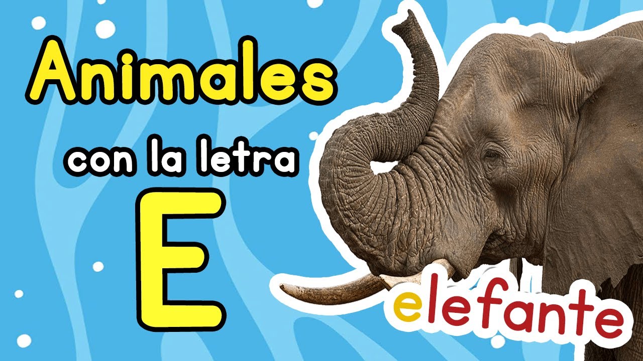 animales que empiecen con la letra e