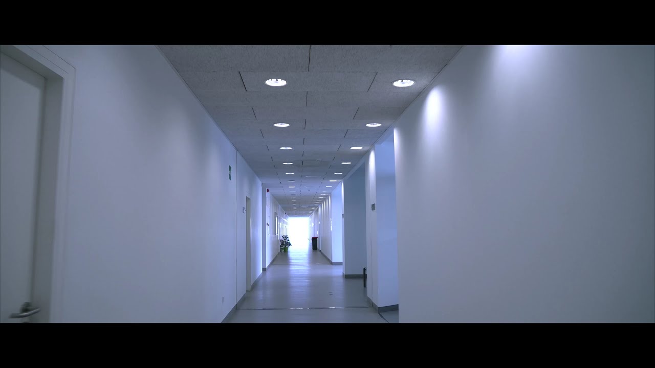 facultad de comercio y estudios sociales y del trabajo malaga