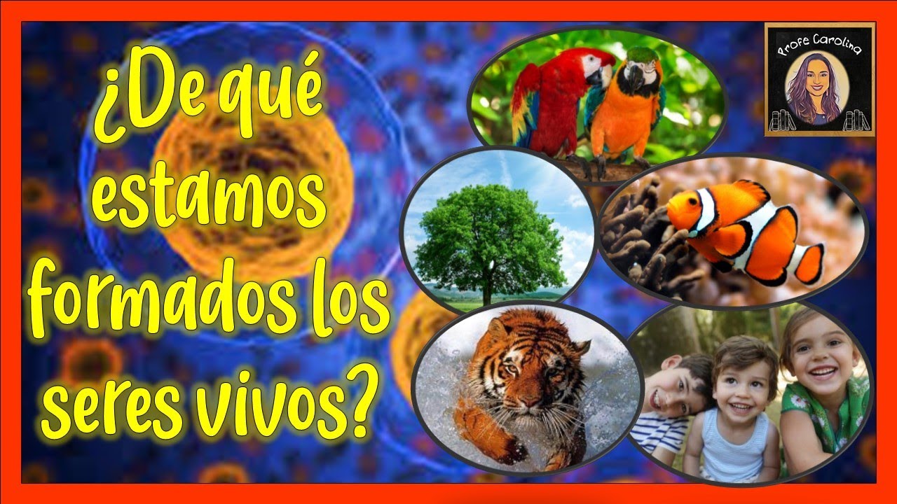 los seres vivos están formados por materia