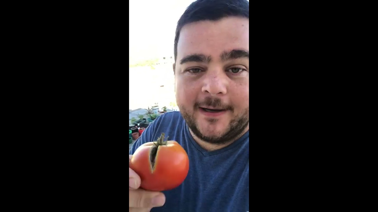 por que se agrietan los tomates