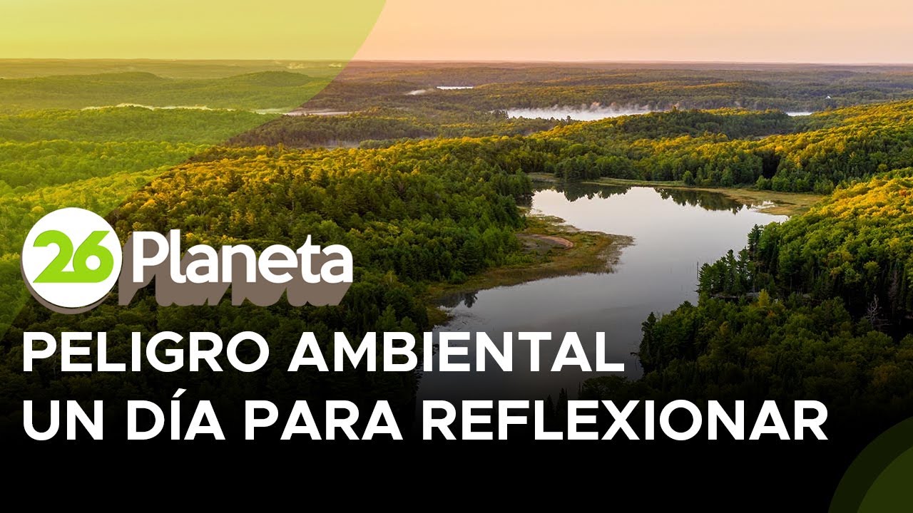 26 enero dia mundial educacion ambiental