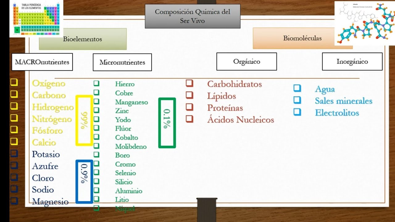 composicion quimica de los seres vivos