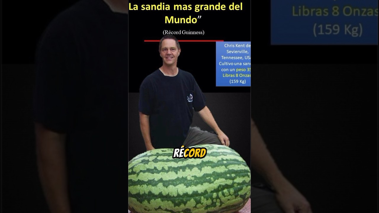 cuál es la sandía más grande del mundo